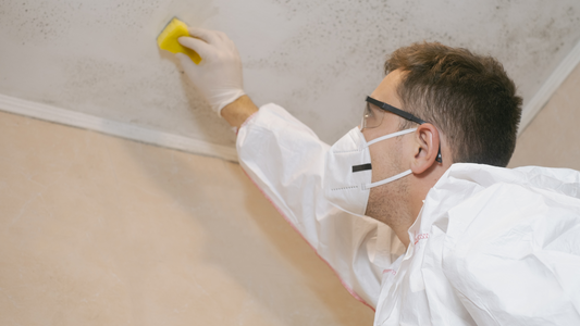 What Happens When Mold Is Missed in a Home Inspection? A California Buyer’s Wake-Up Call