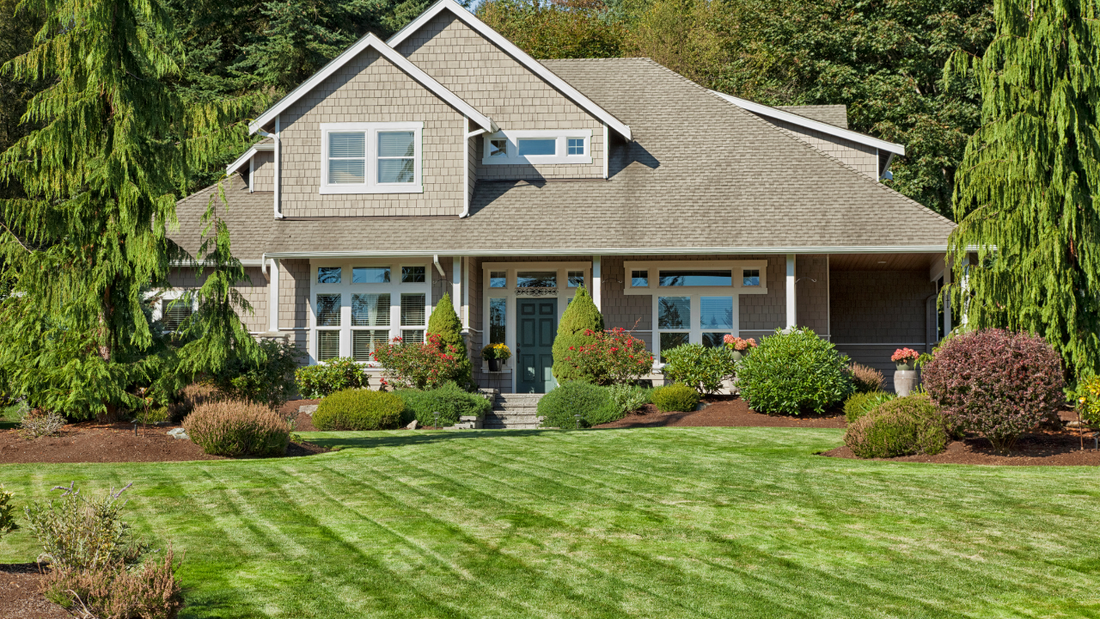 Revive Your Lawn: How to Bounce Back After a Tough Summer