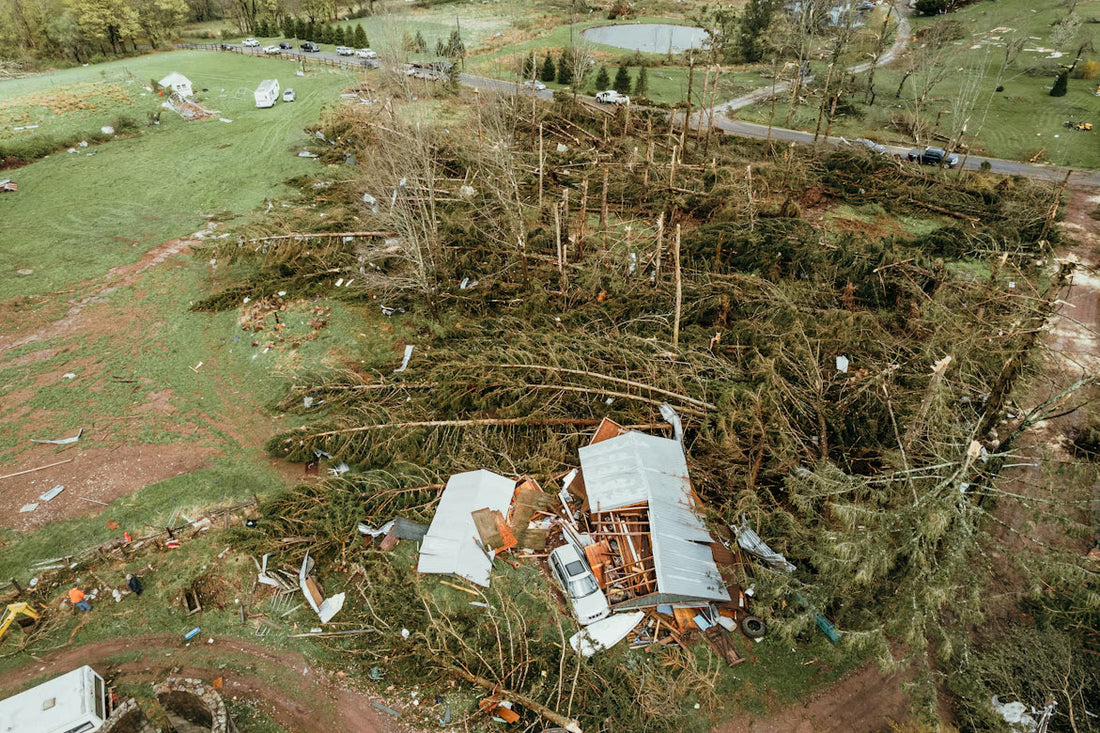 Protect Your Mobile Home from Tree Damage Now