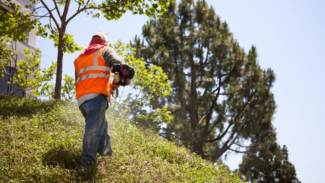 What Insurance Does a Landscaper in California Need