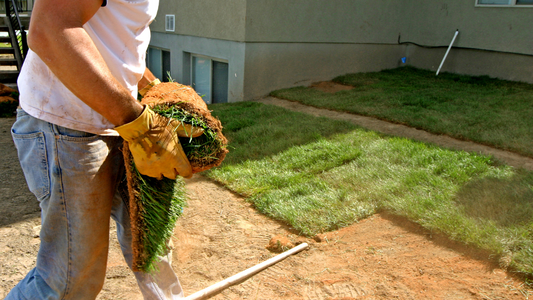 What Landscapers Can Teach You About Trust, Referrals, and Staying Insured
