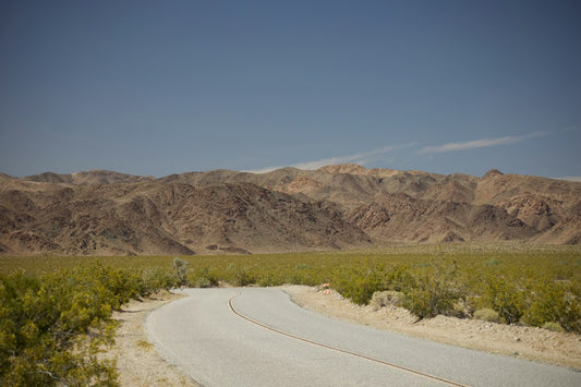 Southern California Desert Riding Season Is Here, Don't Hit the Trails Without Doing This
